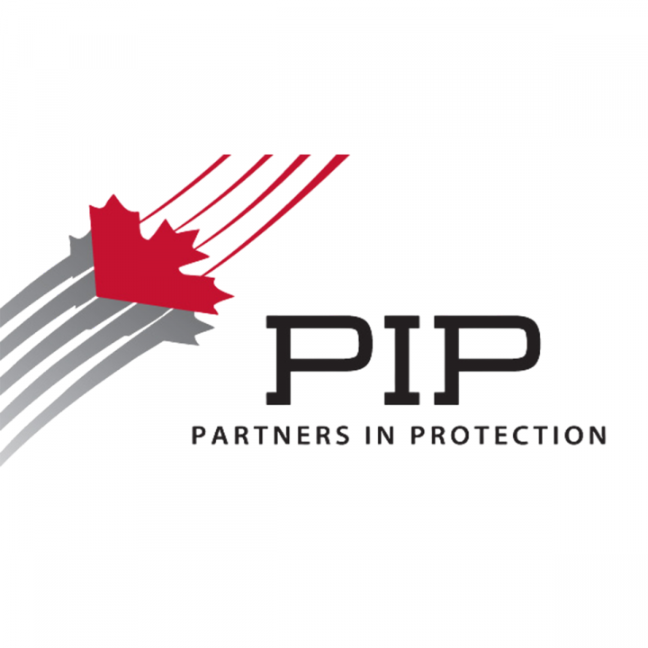 Logo PIP